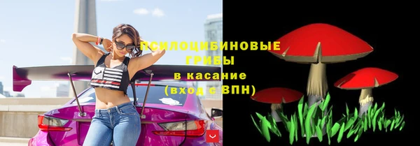 спиды Строитель