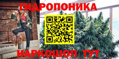 2c-b Лесосибирск