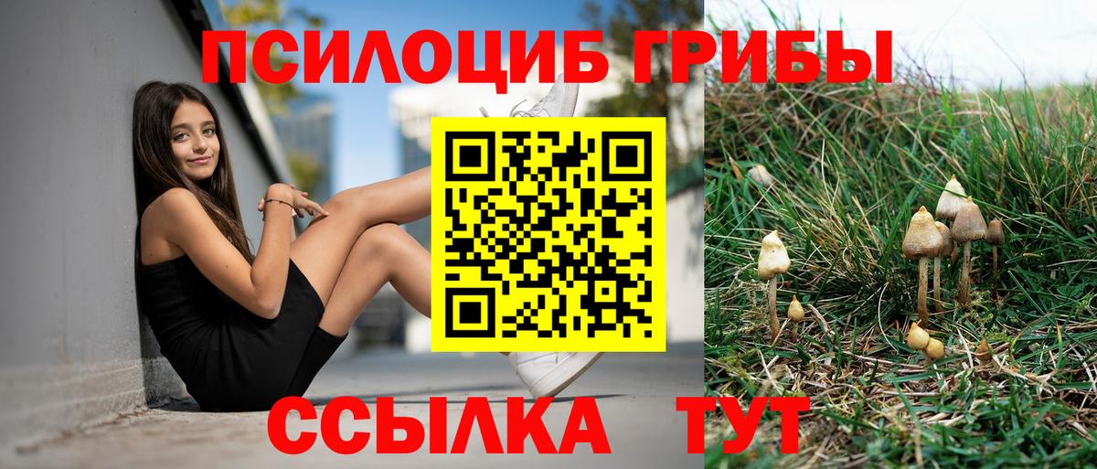 Псилоцибиновые грибы Psilocybe  Галлюциногенные грибы мицелий  где купить наркотик  Сочи  Вход с VPN 