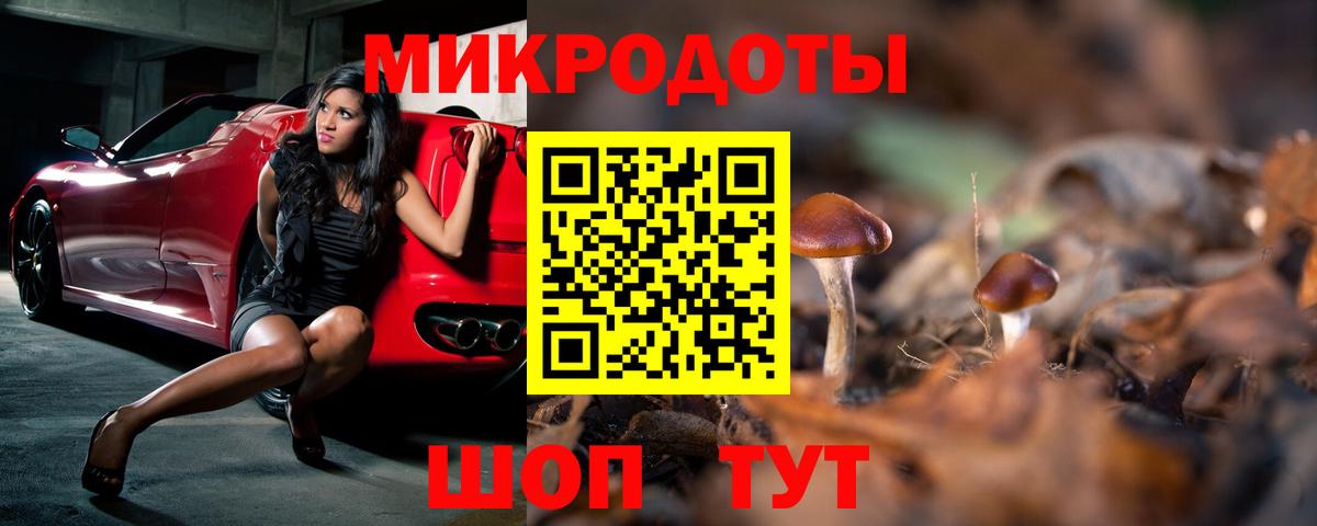 Галлюциногенные грибы Magic Shrooms Сочи